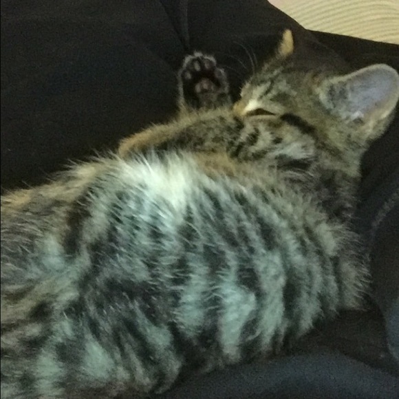 Meet your Posher, Ben - Picture 1 of 1