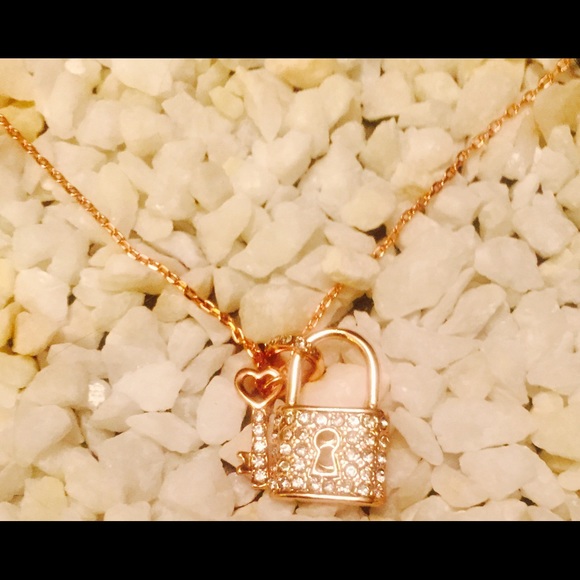 Coming back! - Picture 3 of 4