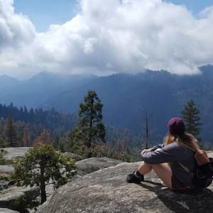 Meet your Posher, Daisy