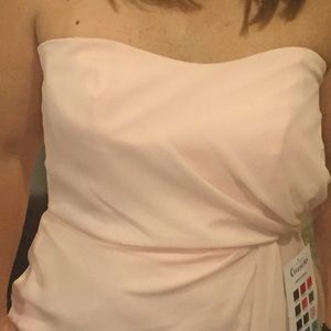 Floor length Petal Pink dress