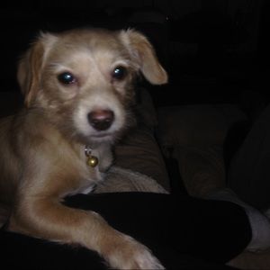 Meet your Posher, Vanessa