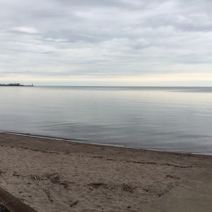 Meet your Posher, Lilly