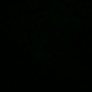 Meet your Posher, Lacey