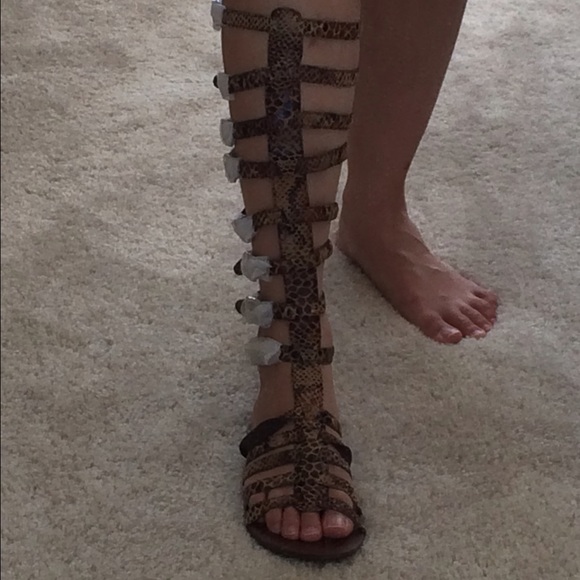 Jeffrey Campbell Tall Gladiator Sandals. Size 6.