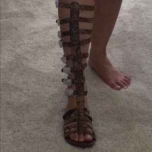Jeffrey Campbell Tall Gladiator Sandals. Size 6.