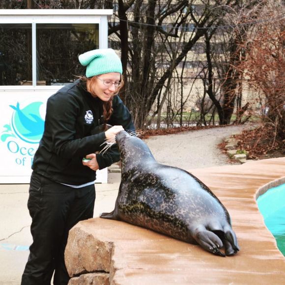 Meet your Posher, Sarah