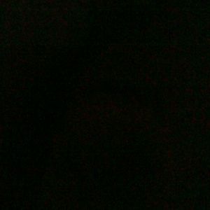 Meet your Posher, Britney