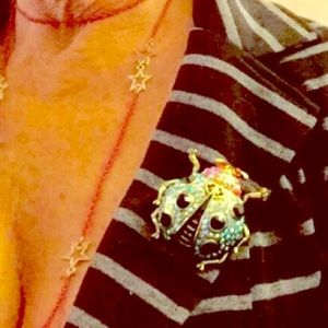 "DIAMONDS AND PEARLS" LADY BUG BROOCH🐞