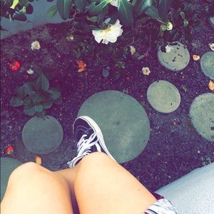 Meet your Posher, Tanner