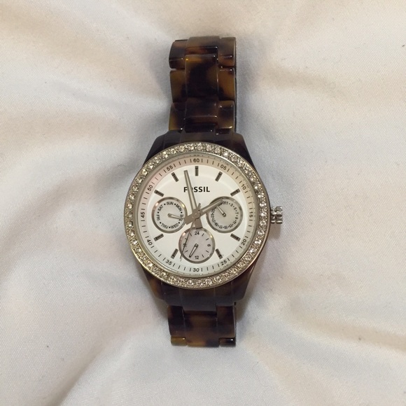 Tortoise fossil watch