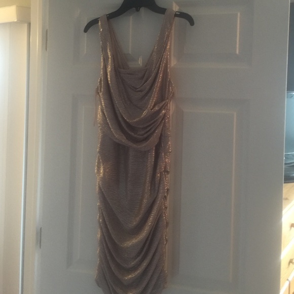 Rose Gold Metallic Dress