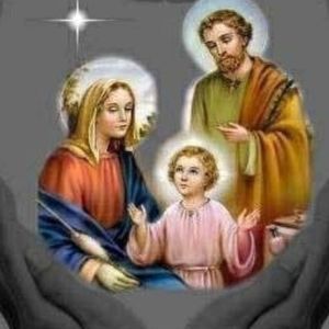 Meet your Posher, Basil n zena