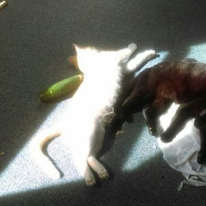 Meet your Posher, Marianna