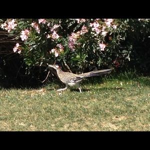 Meet your Posher, Rob
