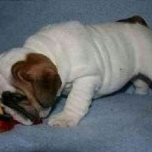 Meet your Posher, Deborah