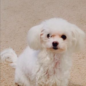 Meet your Posher, Nathalie