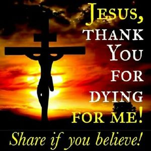 Meet your Posher, Analyn