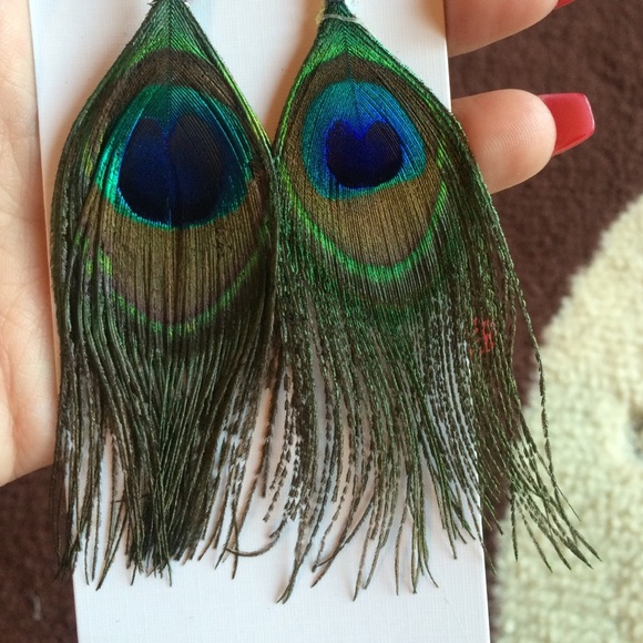 Peacock Feather Earrings