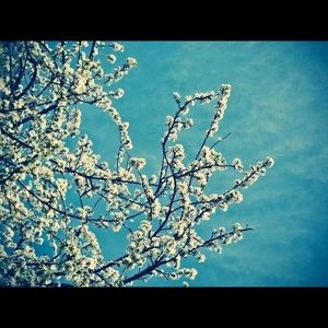 Meet your Posher, Ahlam