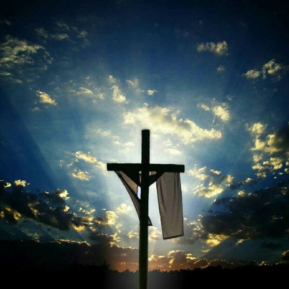 Meet your Posher, Cheryl - Picture 1 of 1