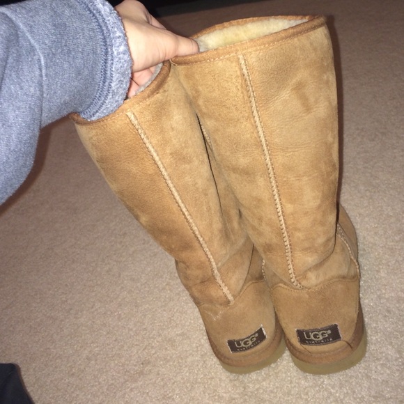 Tall chestnut UGGS