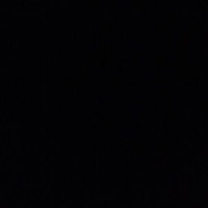 Meet your Posher, Bryant