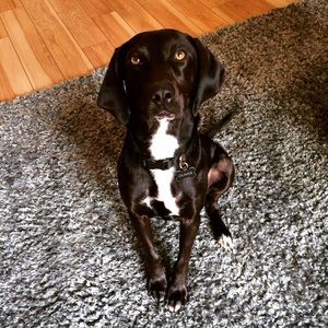 Meet your Posher, Brittany