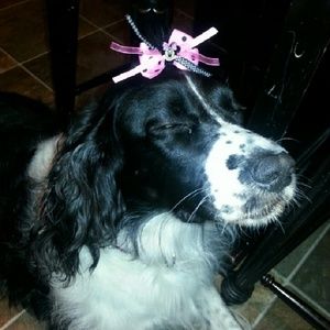 Meet your Posher, Heather