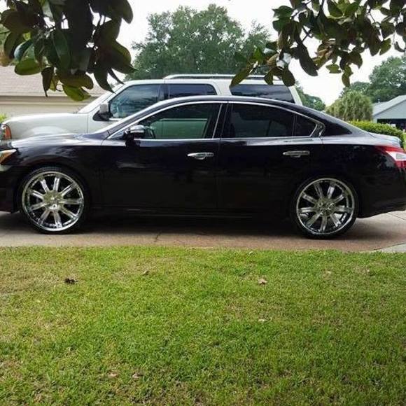 Meet your Posher, Kelly - Picture 1 of 1