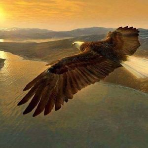 Meet your Posher, Janeth