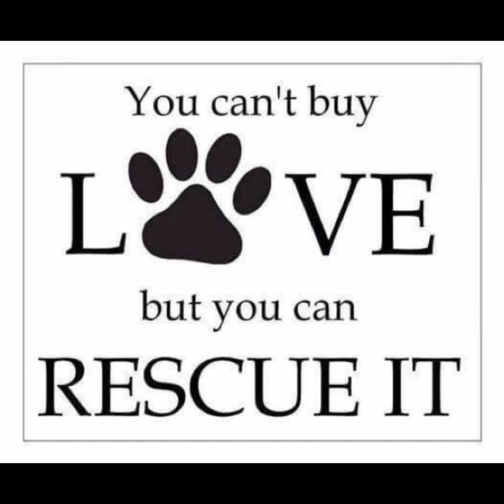 💋H🍒pPy P🍒shing🍒🦋KIM🦋🍒CLOSE DEALS IN HEELS💋 - Picture 7 of 16