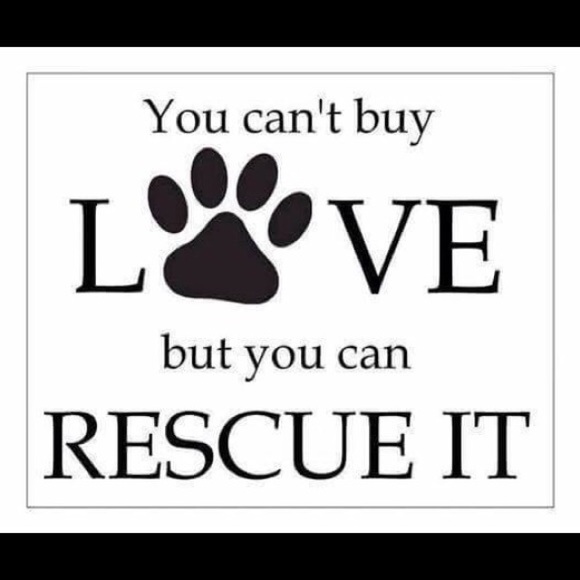 💋H🍒pPy P🍒shing🍒🦋KIM🦋🍒CLOSE DEALS IN HEELS💋 - Picture 7 of 16