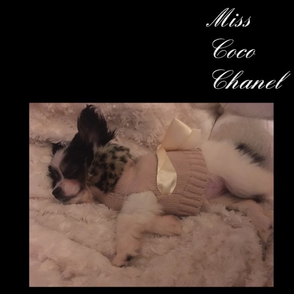 💋H🍒pPy P🍒shing🍒🦋KIM🦋🍒CLOSE DEALS IN HEELS💋 - Picture 6 of 16