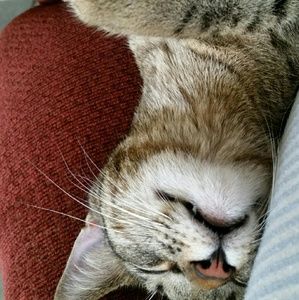 Meet your Posher, Kathy