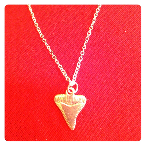 Shark tooth necklace - Picture 1 of 1