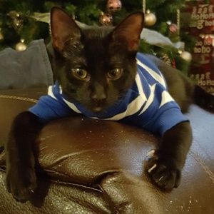 Meet your Posher, Kara