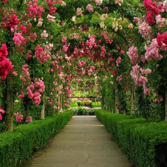 Meet your Posher, Angie