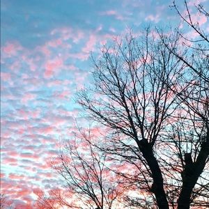 Meet your Posher, Isabelle