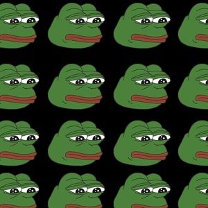 Meet your Posher, Isidra