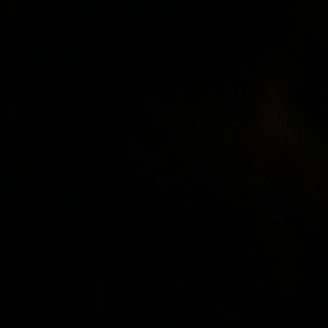 Meet your Posher, Ken