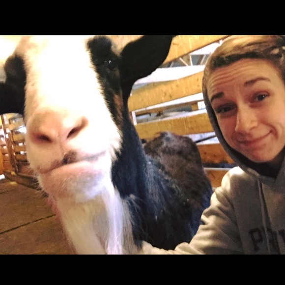 Meet your Posher, Everly - Picture 3 of 3