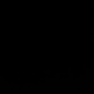 Meet your Posher, Aaliyah