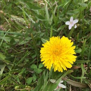 Meet your Posher, Madeline