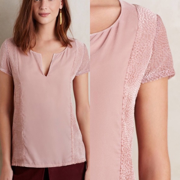 Anthropologie velvet veneer tee