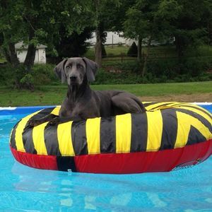 Meet your Posher, Shelly