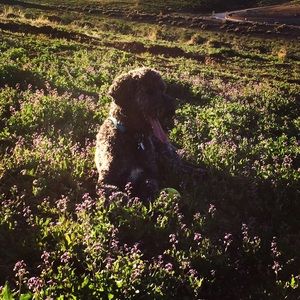 Meet your Posher, Danielle