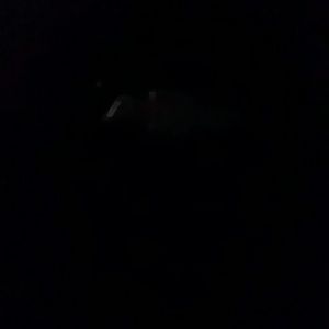 Meet your Posher, Carina