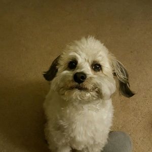 Meet your Posher, Tonia