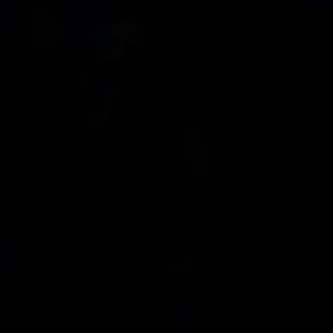 Meet your Posher, Daisy