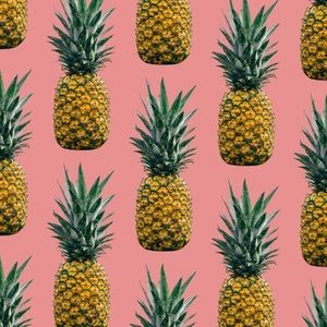 Meet your Posher, Paige